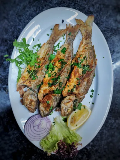 سمك اللوفر
